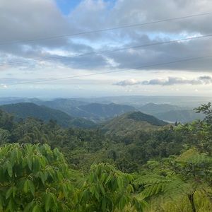 Meet your Posher, Yancy